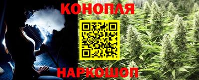 гидра Нальчик