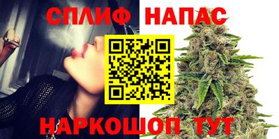 индика Наро-Фоминск
