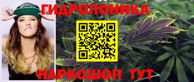 индика Наро-Фоминск