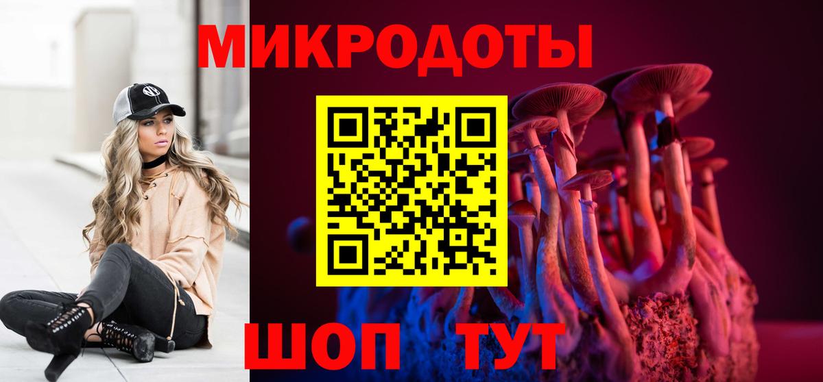Псилоцибиновые грибы Psilocybe  Вход с VPN  Дюртюли 